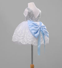 Load image into Gallery viewer, High Quality Embroidered Princess Baby Dress